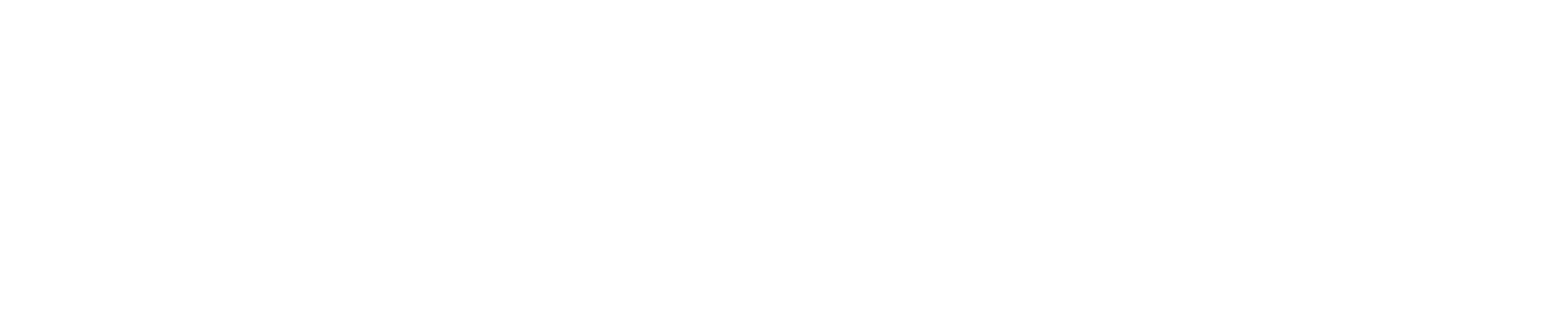 Consultant